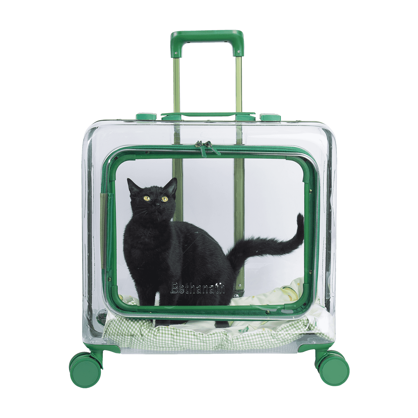 Pet Carrier Bag: a Portable Pet Travel Assistant